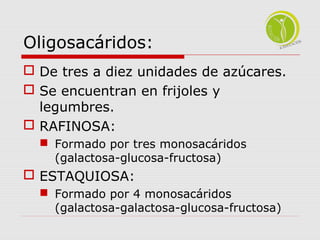 Oligosacáridos: 
 De tres a diez unidades de azúcares. 
 Se encuentran en frijoles y 
legumbres. 
 RAFINOSA: 
 Formado por tres monosacáridos 
(galactosa-glucosa-fructosa) 
 ESTAQUIOSA: 
 Formado por 4 monosacáridos 
(galactosa-galactosa-glucosa-fructosa) 
 