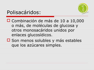 Polisacáridos: 
 Combinación de más de 10 a 10,000 
o más, de moléculas de glucosa y 
otros monosacáridos unidos por 
enlaces glucosídicos. 
 Son menos solubles y más estables 
que los azúcares simples. 
 
