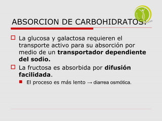 ABSORCION DE CARBOHIDRATOS: 
 La glucosa y galactosa requieren el 
transporte activo para su absorción por 
medio de un transportador dependiente 
del sodio. 
 La fructosa es absorbida por difusión 
facilidada. 
 El proceso es más lento → diarrea osmótica. 
 