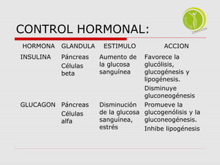CONTROL HORMONAL: 
HORMONA GLANDULA ESTIMULO ACCION 
INSULINA Páncreas 
Células 
beta 
Aumento de 
la glucosa 
sanguínea 
Favorece la 
glucólisis, 
glucogénesis y 
lipogénesis. 
Disminuye 
gluconeogénesis 
GLUCAGON Páncreas 
Células 
alfa 
Disminución 
de la glucosa 
sanguínea, 
estrés 
Promueve la 
glucogenólisis y la 
gluconeogénesis. 
Inhibe lipogénesis 
 