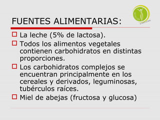 FUENTES ALIMENTARIAS: 
 La leche (5% de lactosa). 
 Todos los alimentos vegetales 
contienen carbohidratos en distintas 
proporciones. 
 Los carbohidratos complejos se 
encuentran principalmente en los 
cereales y derivados, leguminosas, 
tubérculos raíces. 
 Miel de abejas (fructosa y glucosa) 
 