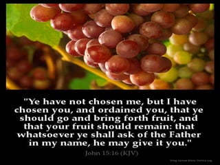 Chosen To Bear Fruit