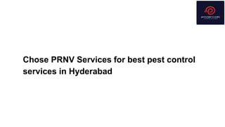 Chose PRNV Services for best pest control
services in Hyderabad
 