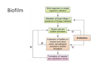 Biofilm
 