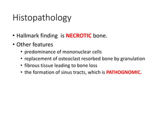 Histopathology
• Hallmark finding is NECROTIC bone.
• Other features
• predominance of mononuclear cells
• replacement of osteoclast resorbed bone by granulation
• fibrous tissue leading to bone loss
• the formation of sinus tracts, which is PATHOGNOMIC.
 
