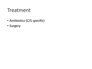 Treatment
• Antibiotics (C/S specific)
• Surgery
 