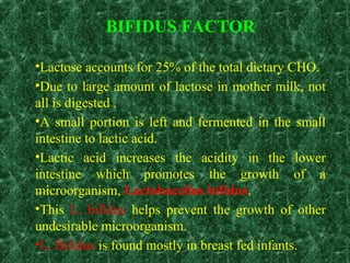 BIFIDUS FACTOR
•Lactose accounts for 25% of the total dietary CHO.
•Due to large amount of lactose in mother milk, not
all is digested .
•A small portion is left and fermented in the small
intestine to lactic acid.
•Lactic acid increases the acidity in the lower
intestine which promotes the growth of a
microorganism, Lactobaccilus bifidus.
•This L. bifidus helps prevent the growth of other
undesirable microorganism.
•L. Bifidus is found mostly in breast fed infants.
 