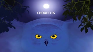 CHOUETTES
 
