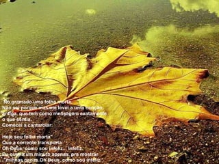 No gramado uma folha morta.  Não sei porque mas me levei a uma canção antiga, que tem como mensagem exatamente o que sentia. Comecei a cantarolar: Hoje sou folha morta" Que a corrente transporta Oh Deus, como sou infeliz... Infeliz. Eu queria um minuto apenas, pra mostrar minhas penas.Oh Deus, como sou infeliz”. 