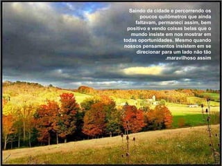 Saindo da cidade e percorrendo os poucos quilômetros que ainda faltavam, permaneci assim, bem positivo e vendo coisas belas que o mundo insiste em nos mostrar em todas oportunidades. Mesmo quando nossos pensamentos insistem em se direcionar para um lado não tão maravilhoso assim. 