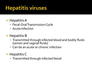 Hepatitis virusesHepatitis AFecal-Oral Transmission CycleAcute InfectionHepatitis BTransmitted through infected blood and bodily fluids (semen and vaginal fluids)Can be an acute or chronic infectionHepatitis CTransmitted through infected blood