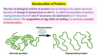 Define Denaturation CHAPTER-10 BIOLOGY CLASS 12 IMPORTANT.pptx