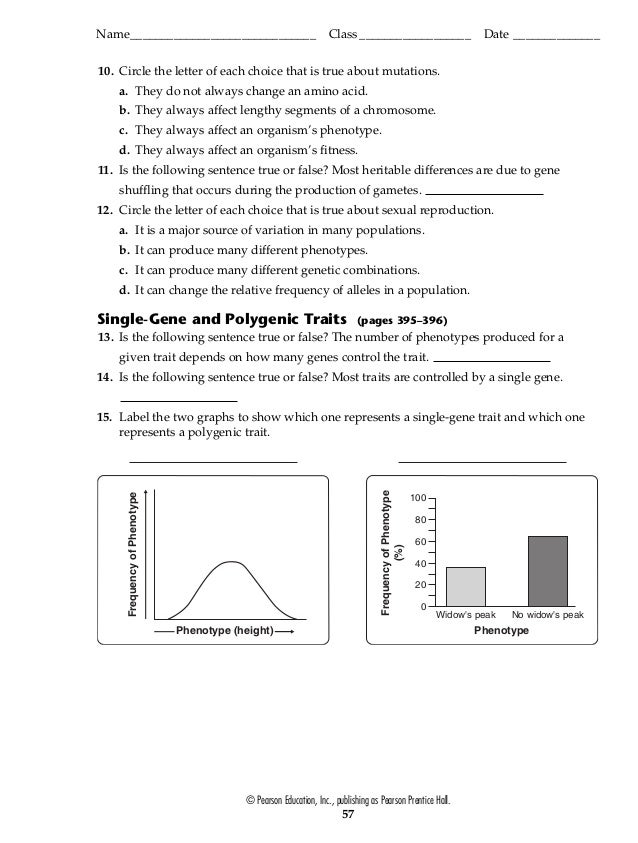 Worksheets Genetic Variation Worksheet genetic variation worksheet pixelpaperskin worksheet