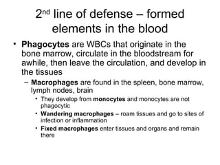 2 nd  line of defense – formed elements in the blood Phagocytes  are WBCs that originate in the bone marrow, circulate in the bloodstream for awhile, then leave the circulation, and develop in the tissues Macrophages  are found in the spleen, bone marrow, lymph nodes, brain They develop from  monocytes  and monocytes are not phagocytic Wandering macrophages  – roam tissues and go to sites of infection or inflammation Fixed macrophages  enter tissues and organs and remain there 