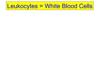 Leukocytes = White Blood Cells 