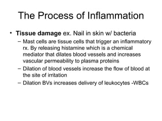 The Process of Inflammation Tissue damage  ex. Nail in skin w/ bacteria Mast cells are tissue cells that trigger an inflammatory rx. By releasing histamine which is a chemical mediator that dilates blood vessels and increases vascular permeability to plasma proteins Dilation of blood vessels increase the flow of blood at the site of irritation Dilation BVs increases delivery of leukocytes -WBCs 