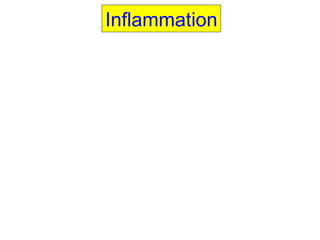 Inflammation 