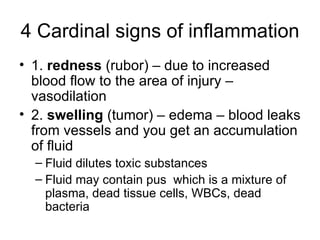 4 Cardinal signs of inflammation 1.  redness  (rubor) – due to increased blood flow to the area of injury – vasodilation  2.  swelling  (tumor) – edema – blood leaks from vessels and you get an accumulation of fluid Fluid dilutes toxic substances Fluid may contain pus  which is a mixture of plasma, dead tissue cells, WBCs, dead bacteria 