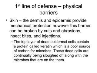 1 st  line of defense – physical barriers Skin – the dermis and epidermis provide mechanical protection however this barrier can be broken by cuts and abrasions, insect bites, and injections.  The top layer of dead epidermal cells contain a protein called keratin which is a poor source of carbon for microbes. These dead cells are continually being sloughed off along with the microbes that are on the them. 