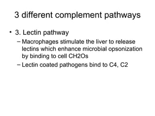 3 different complement pathways 3. Lectin pathway Macrophages stimulate the liver to release lectins which enhance microbial opsonization by binding to cell CH2Os Lectin coated pathogens bind to C4, C2 
