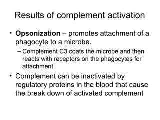 Results of complement activation Opsonization  – promotes attachment of a phagocyte to a microbe. Complement C3 coats the microbe and then reacts with receptors on the phagocytes for attachment Complement can be inactivated by regulatory proteins in the blood that cause the break down of activated complement  