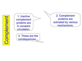 Complement 1. Inactive complement proteins are in constant circulation. 2. Complement proteins are activated by various mechanisms. 3. These are the consequences... 