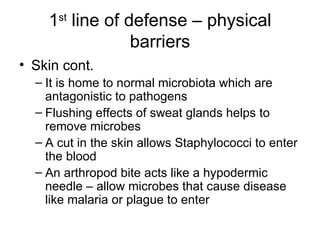 1 st  line of defense – physical barriers Skin cont.  It is home to normal microbiota which are antagonistic to pathogens Flushing effects of sweat glands helps to remove microbes A cut in the skin allows Staphylococci to enter the blood An arthropod bite acts like a hypodermic needle – allow microbes that cause disease like malaria or plague to enter 