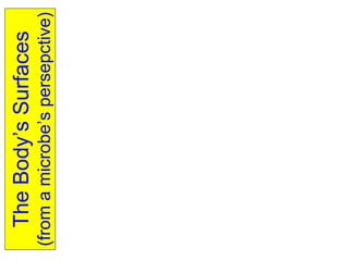 The Body’s Surfaces (from a microbe’s persepctive) 