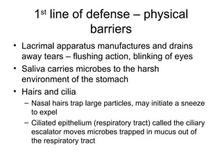 1 st  line of defense – physical barriers Lacrimal apparatus manufactures and drains away tears – flushing action, blinking of eyes Saliva carries microbes to the harsh environment of the stomach Hairs and cilia Nasal hairs trap large particles, may initiate a sneeze to expel  Ciliated epithelium (respiratory tract) called the ciliary escalator moves microbes trapped in mucus out of the respiratory tract 