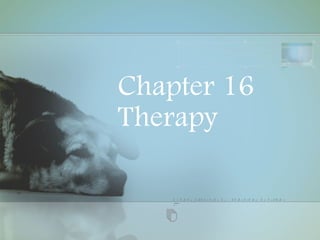 Chapter 16 Therapy 