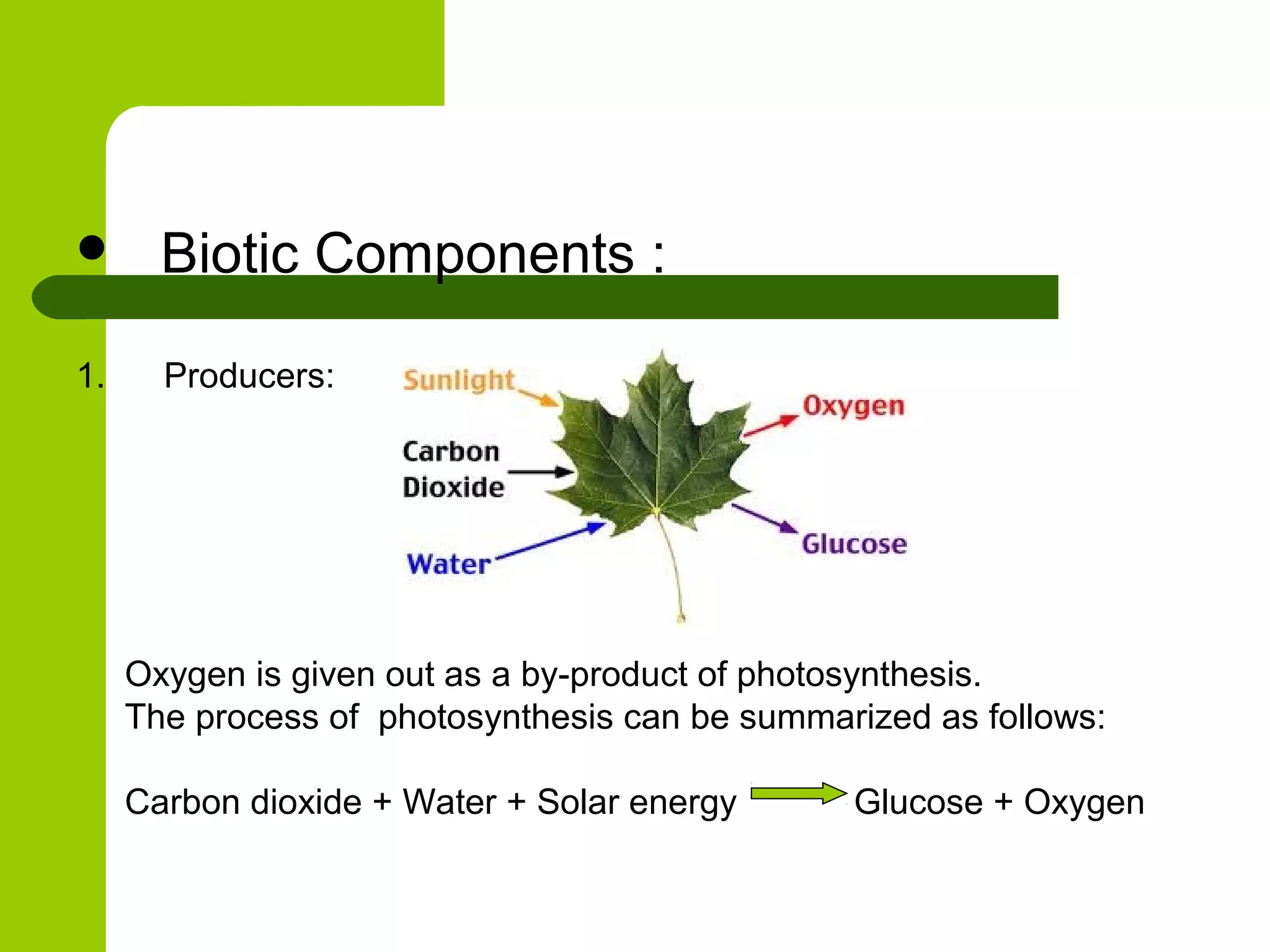       Biotic Components :

1.     Producers:




     Oxygen is given out as a by-product of photosynthesis.
     The process of photosynthesis can be summarized as follows:

     Carbon dioxide + Water + Solar energy      Glucose + Oxygen
 