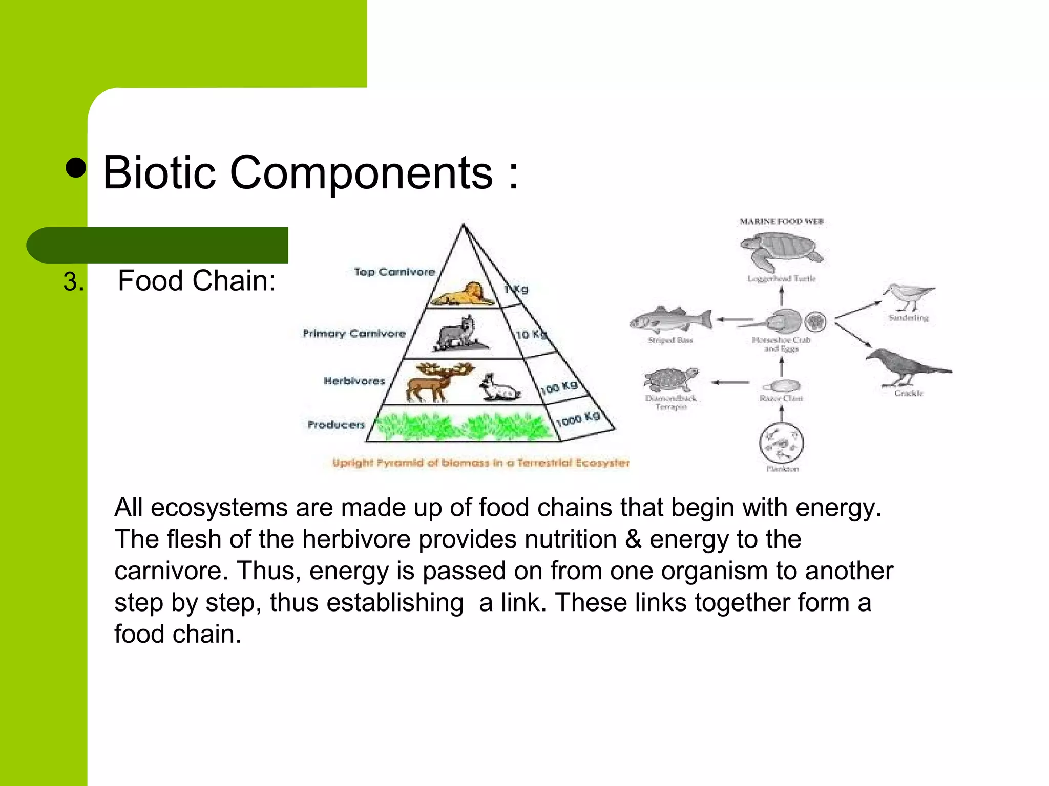  Biotic      Components :

3.   Food Chain:




     All ecosystems are made up of food chains that begin with energy.
     The flesh of the herbivore provides nutrition & energy to the
     carnivore. Thus, energy is passed on from one organism to another
     step by step, thus establishing a link. These links together form a
     food chain.
 
