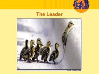 The Leader
 
