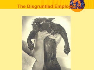 The Disgruntled Employee
 