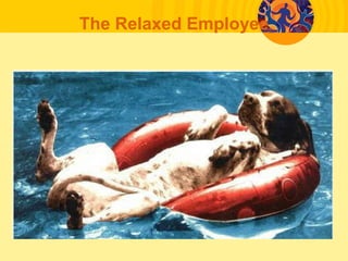 The Relaxed Employee
 