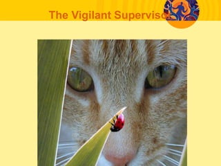 The Vigilant Supervisor
 
