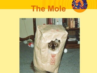 The Mole
 