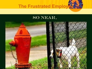 The Frustrated Employee
 