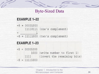 Chapter 1 Introduction to the
Microprocessor and Computer 66
Byte-Sized Data
 