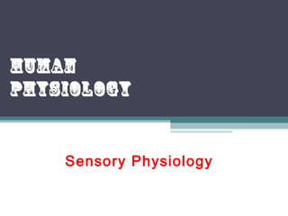 Sensory Physiology
Human
Physiology
 