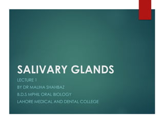 SALIVARY GLANDS
LECTURE 1
BY DR MALIHA SHAHBAZ
B.D.S MPHIL ORAL BIOLOGY
LAHORE MEDICAL AND DENTAL COLLEGE
 