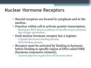 Nuclear Hormone Receptors
• Steroid receptors are located in cytoplasm and in the
nucleus.
• Function within cell to activate genetic transcription.
▫ Messenger RNA directs synthesis of specific enzyme proteins
that change metabolism.
• Each nuclear hormone receptor has 2 regions:
▫ A ligand (hormone)-binding domain.
▫ DNA-binding domain.
• Receptor must be activated by binding to hormone
before binding to specific region of DNA called HRE
(hormone responsive element).
▫ Located adjacent to gene that will be transcribed.
 