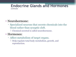 Endocrine Glands and Hormones
(continued)
• Neurohormone:
▫ Specialized neurons that secrete chemicals into the
blood rather than synaptic cleft.
 Chemical secreted is called neurohormone.
• Hormones:
▫ Affect metabolism of target organs.
 Help regulate total body metabolism, growth, and
reproduction.
 