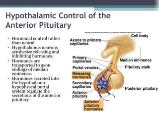 Hypothalamic Control of the
Anterior Pituitary
• Hormonal control rather
than neural.
• Hypothalamus neurons
synthesize releasing and
inhibiting hormones.
• Hormones are
transported to axon
endings of median
eminence.
• Hormones secreted into
the hypothalamo-
hypophyseal portal
system regulate the
secretions of the anterior
pituitary
 