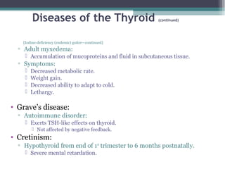 Diseases of the Thyroid (continued)
[Iodine-deficiency (endemic) goiter—continued]
▫ Adult myxedema:
 Accumulation of mucoproteins and fluid in subcutaneous tissue.
▫ Symptoms:
 Decreased metabolic rate.
 Weight gain.
 Decreased ability to adapt to cold.
 Lethargy.
• Grave’s disease:
▫ Autoimmune disorder:
 Exerts TSH-like effects on thyroid.
 Not affected by negative feedback.
• Cretinism:
▫ Hypothyroid from end of 1st
trimester to 6 months postnatally.
 Severe mental retardation.
 