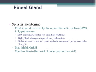 Pineal Gland
• Secretes melatonin:
▫ Production stimulated by the suprachiasmatic nucleus (SCN)
in hypothalamus.
 SCN is primary center for circadian rhythms.
 Light/dark changes required to synchronize.
 Melatonin secretion increases with darkness and peaks in middle
of night.
▫ May inhibit GnRH.
▫ May function in the onset of puberty (controversial).
 