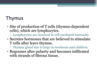 Thymus
• Site of production of T cells (thymus-dependent
cells), which are lymphocytes.
▫ Lymphocytes are involved in cell-mediated immunity.
• Secretes hormones that are believed to stimulate
T cells after leave thymus.
▫ Thymus gland size is large in newborns and children.
• Regresses after puberty and becomes infiltrated
with strands of fibrous tissue.
 