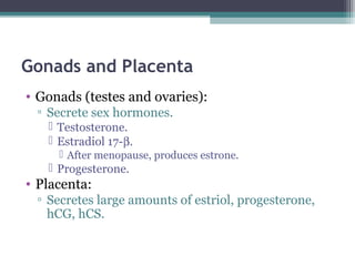 Gonads and Placenta
• Gonads (testes and ovaries):
▫ Secrete sex hormones.
 Testosterone.
 Estradiol 17-β.
 After menopause, produces estrone.
 Progesterone.
• Placenta:
▫ Secretes large amounts of estriol, progesterone,
hCG, hCS.
 
