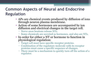 Common Aspects of Neural and Endocrine
Regulation
• APs are chemical events produced by diffusion of ions
through neuron plasma membrane.
• Action of some hormones are accompanied by ion
diffusion and electrical changes in the target cell.
▫ Nerve axon boutons release NTs.
▫ Some chemicals are secreted as hormones, and also are NTs.
• In order for either a NT or hormone to function in
physiological regulation:
▫ Target cell must have specific receptor proteins.
▫ Combination of the regulatory molecule with its receptor
proteins must cause a specific sequence of changes.
▫ There must be a mechanism to quickly turn off the action of a
regulator.
 