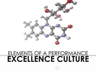 EXCELLENCE CULTURE
ELEMENTS OF A PERFORMANCE
 